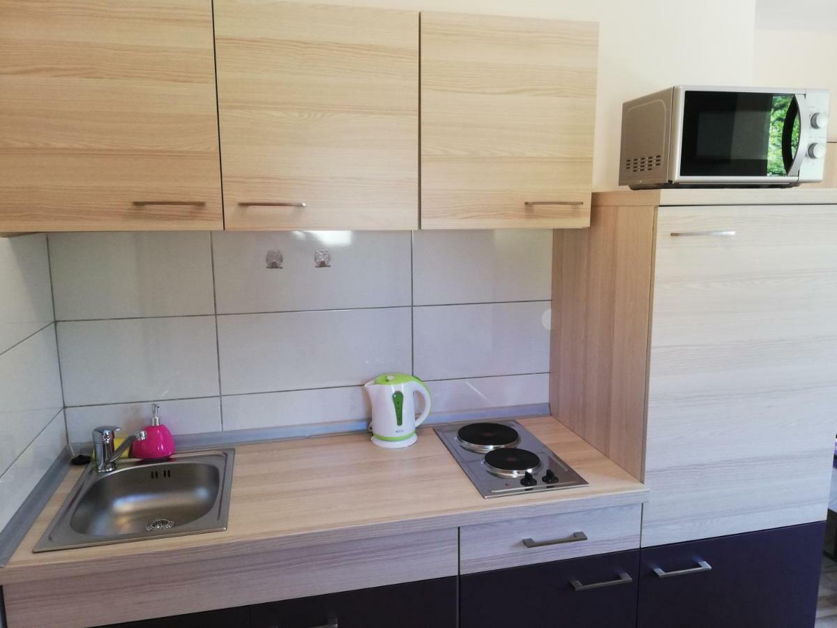 Studio Apartment Palmira Ližnjan Extérieur photo