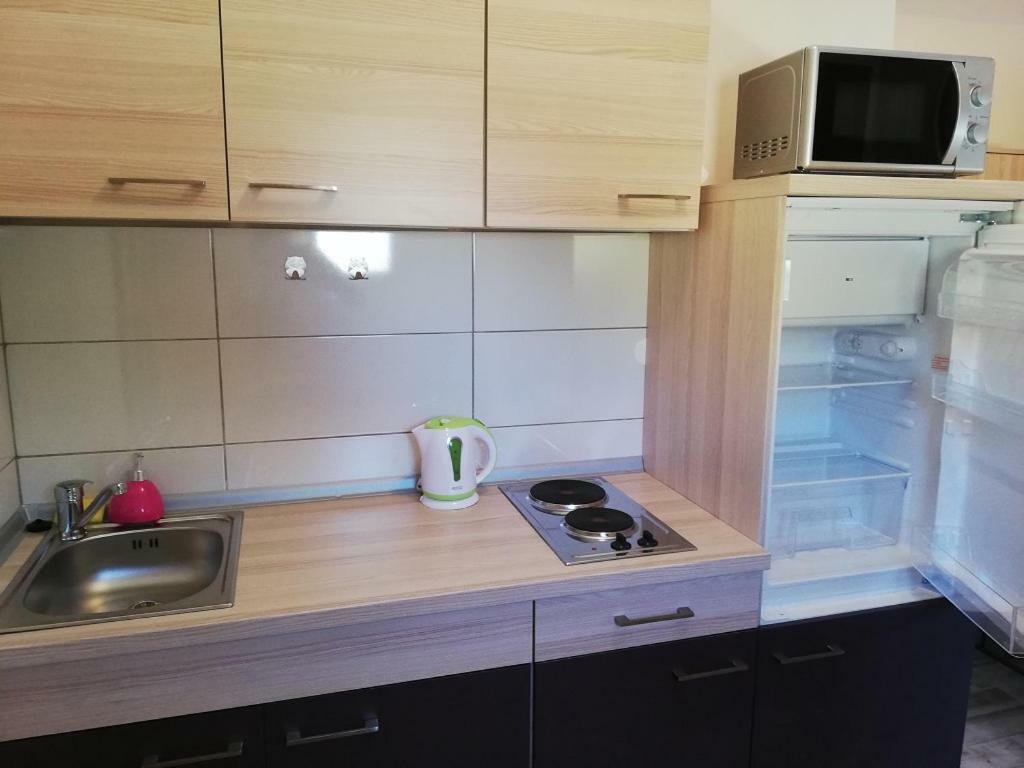 Studio Apartment Palmira Ližnjan Extérieur photo